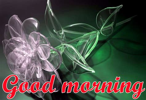 Download Beautiful 3d Good Morning Images Photo Pics Free Hd Good Morning Image Hd 3d On Itlcat