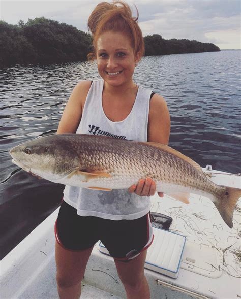 Good Inshore Redfish Bite For Tampa Bay And St Petersburg Big Bay