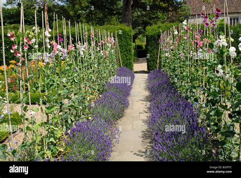 Traditional English Country Garden Stock Photo Alamy
