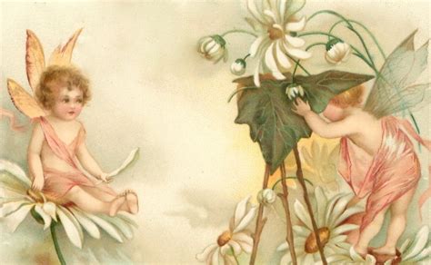 Bumble Button Adorable Turn Of The Century Postcards Baby Fairies Free Clip Art