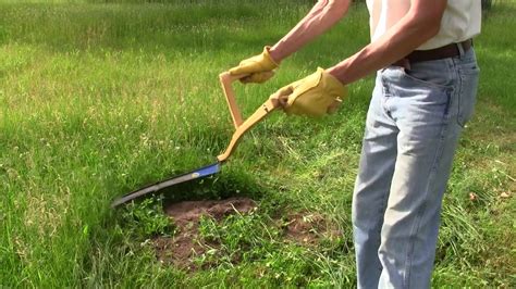 Mowing An Overgrown Lawn With A Scythe Youtube