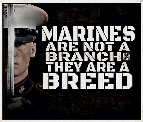 Marine Corps Quotes Kampion