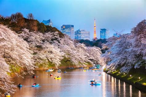 23 Cool Things To Do In Tokyo Japan 2023 Explore The Best Attractions And Hidden Gems