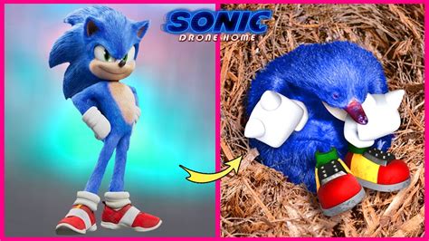 Sonic The Hedgehog 2 Movie Characters In Real Life 🙀 Unseen 👉cartoon