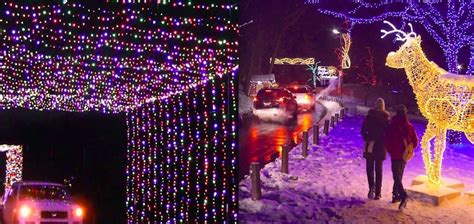 Drive Through Christmas Light Shows Near Me Christmas Trends