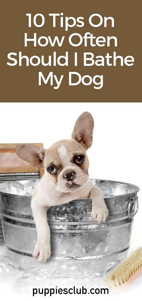 It can be used in puppies 6+ weeks old although many people use it for puppies beginning at 2 weeks. 10 Tips On How Often Should I Bathe My Dog - Puppies Club ...