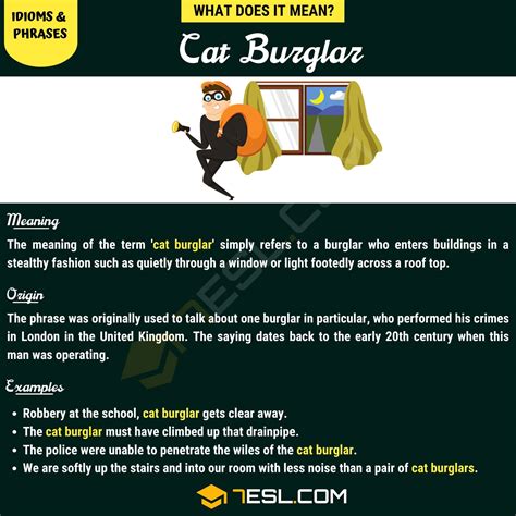 Cat Burglar Meaning And Examples Of The Popular Term Cat Burglar • 7esl