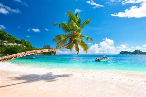 Best Beaches in Seychelles That Should NOT BE MISSED