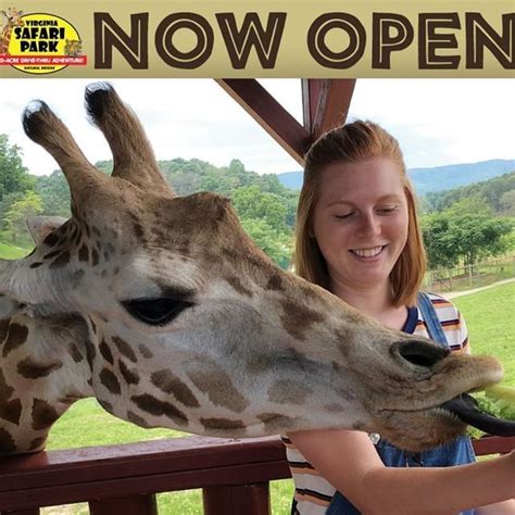 We have started an unique concept of petting zoo offering pet therapy. Drive-Thru Safari Park, Zoo, Virginia Safari Zoo, Natural ...
