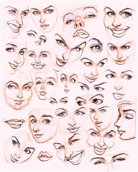 Drawing Face Reference Photos Image Collections