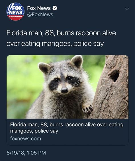 Calm Down Florida Man Meme By Porkcheezie Memedroid