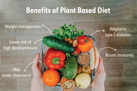 Plant Based Diet Dos And Donts Everything You Should Know