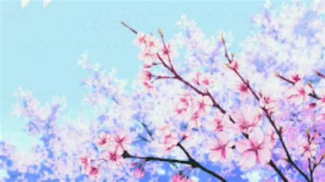 Animated Cherry Blossom Free Youtube