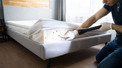 How To Remove Bed Bug Stains From Your Mattress