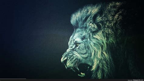 Roaring Lion 4k Wallpaper Wallpaper