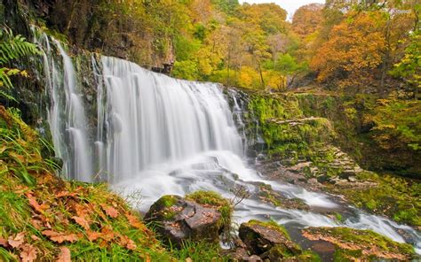 Free Images Nature Forest Waterfall Leaf Stone Stream Autumn