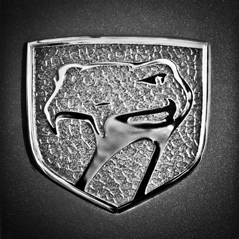 Dodge Viper Emblem 217bw Photograph By Jill Reger Pixels