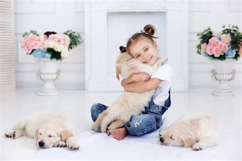 Image Puppy Retriever Little Girls Dog Smile Children 2560x1706