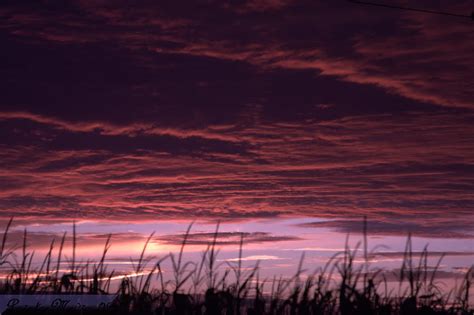 Mississippi Delta Sunset Photograph By Steven Painter Fine Art America