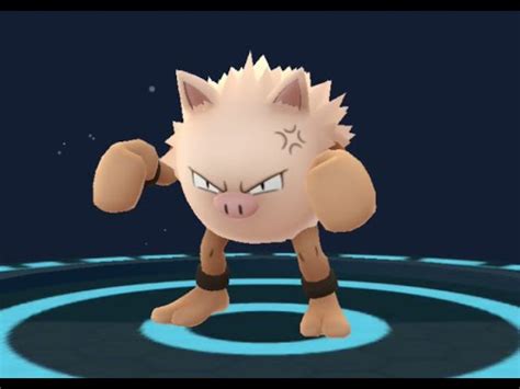 When mankey starts shaking and its nasal breathing turns rough, it's a sure sign that it is becoming because it doesn't hold in its stress, this pokémon can live a long time. Pokemon GO - Mankey evolving into Primeape - YouTube