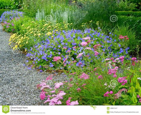Colorful Pink Purple And Yellow Flowers In A Garden Stock Image