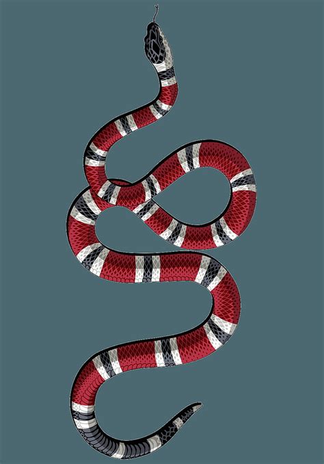 Update 63 Gucci Snake Wallpaper Incdgdbentre