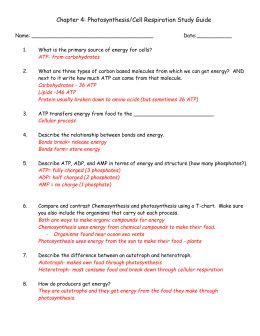 Live worksheets > english > biology > cells. Photosynthesis and Cellular Respiration Review Worksheet ...