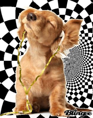 Get your team aligned with. IPod Puppy Picture #108988920 | Blingee.com