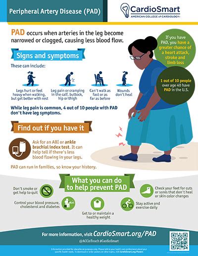 Peripheral Artery Disease Infographic Cardiosmart American