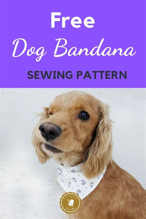 Great Over The Collar Free Dog Bandana Pattern A Very Easy Tutorial