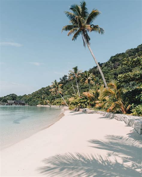 Palm Fringed Perfection 🌴 Beach Tropical Islandlife Palmtrees Beach