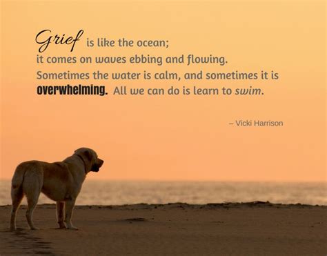 Death poems from famous poets and best death poems to feel good. Pet Loss Quotes | Pet loss quotes, Losing a pet quotes ...