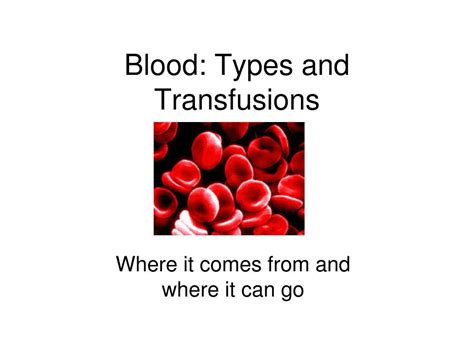 Ppt Blood Types And Transfusions Powerpoint Presentation Free