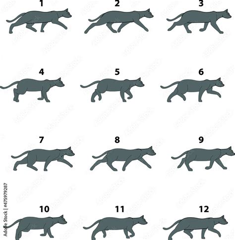 Cat Walking Cycle Animation Vectors For Cartoon Video Stock Vector