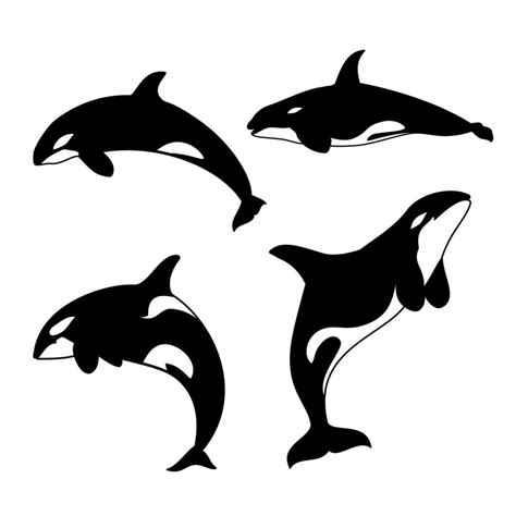 Orca Vector Illustration Killer Whale Silhouette 24718936 Vector Art