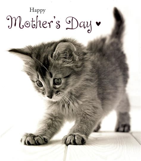 East or west, my beloved mother is the best. Cute Kitten Happy Mother's Day Card | Cards | Love Kates