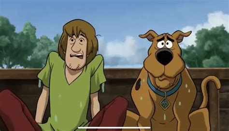 Pin By Dalmatian Obsession On Scooby Doo Scooby Cartoon Scooby Doo
