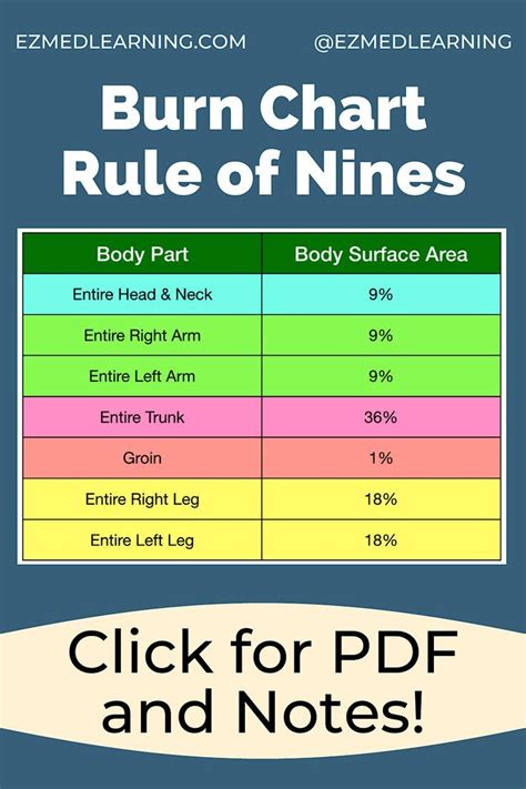 Medical Nursing Study Guide Notes For Rule Of Nines For Burns Nursing