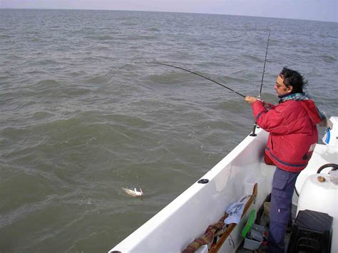 Temporada De Otoño Cómo Pescar En El Mar Weekend