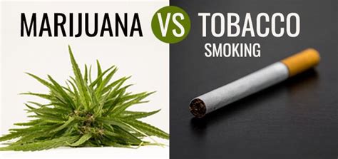 The old blend was more authentic tobacco taste and no frills the new blend was a little more turkish tasting which wasn't a. Marijuana vs Tobacco Smoking — Which is More Dangerous?