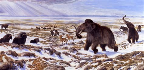 Ice Age Extinctions What Happened