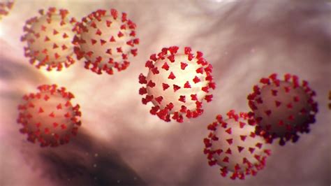 Das rki zählte seit beginn der pandemie insgesamt 3 731 564 nachgewiesene. Home - Heiß Landtechnik GmbH in Großbreitenbronn ...