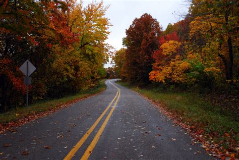 10 Country Roads In Arkansas That Are Pure Bliss
