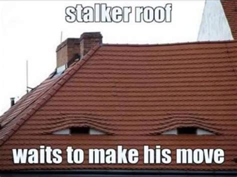 Nothing To Say Roofing Bones Funny Roof