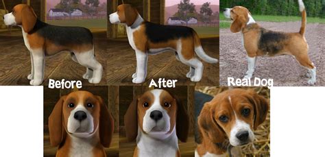Better Beagles Cresties Creations