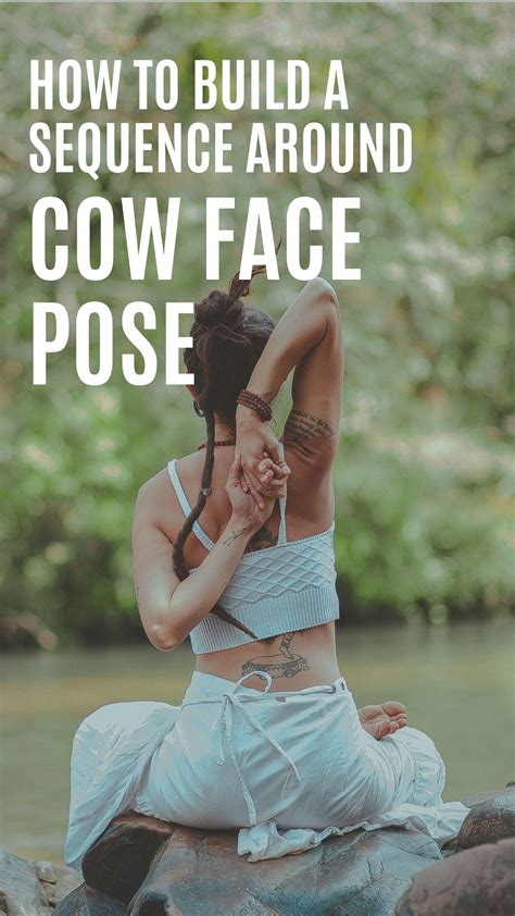 How To Build A Sequence Around Cow Face Pose Doyou Cow Face Pose Cow Face Face Yoga