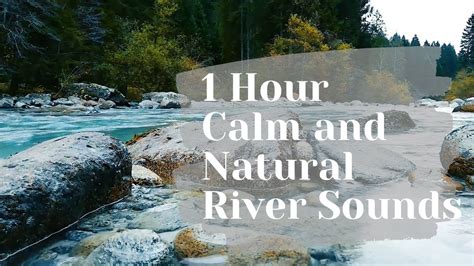 1 Hour River Sounds Flowing River For Relaxation And Sleep Natural