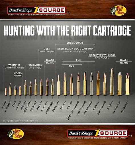 Handgun Bullet Caliber Comparison Chart