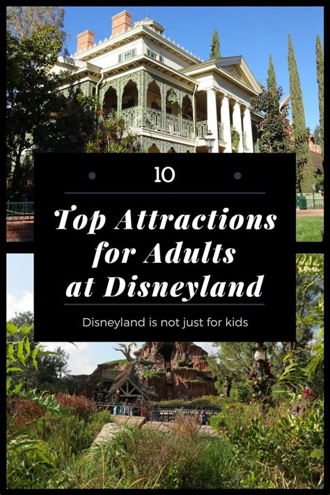 Top 10 Attractions For Adults At Disneyland Life In Mouse Years
