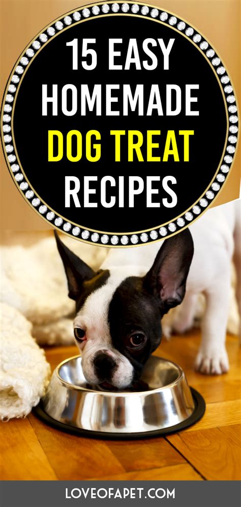 Thoroughly wash and dry the fruits and vegetables, then, carefully slice them into thin pieces. 15 Easy Homemade Dog Treat Recipes | Homemade dog treats ...